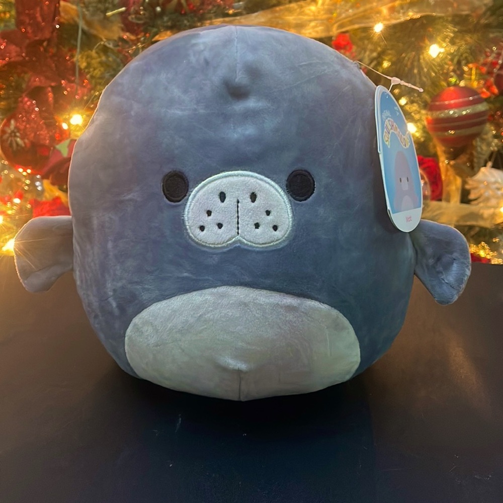 Squishmallows 8” Matt rare
